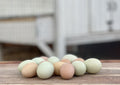 Fresh Eggs